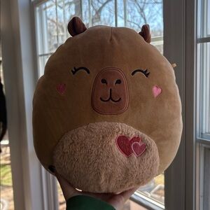 Lijjian the capybara squishmallow valentines edition NWOT 10in